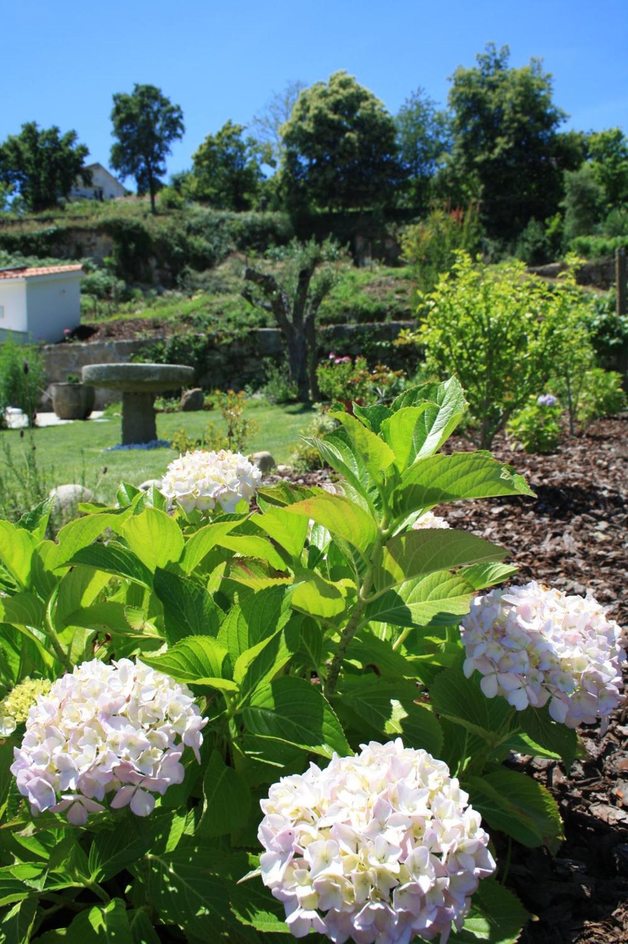 Вилла Quinta Vale Do Nox Serrazes Экстерьер фото