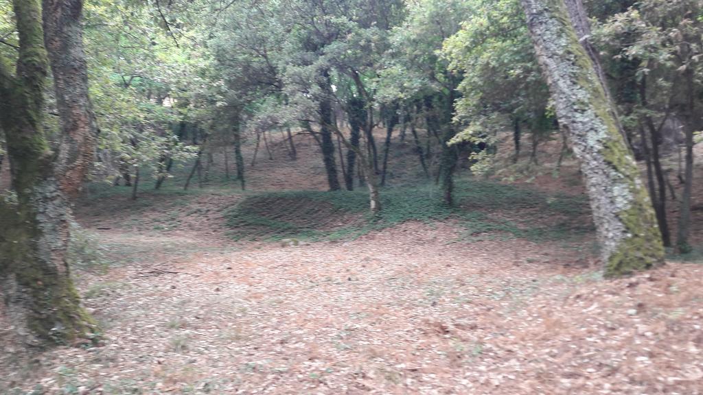 Вилла Quinta Vale Do Nox Serrazes Экстерьер фото
